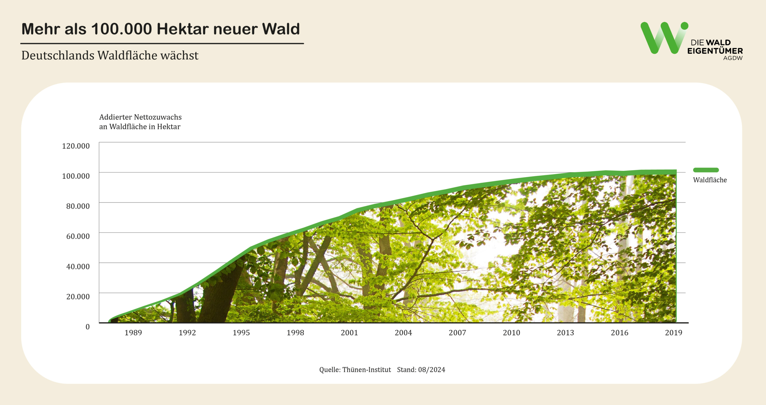 Wieviel Ist Ein Hektar Wald Wert