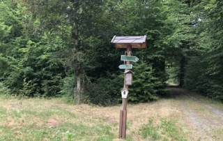 Wegweiser im Wald