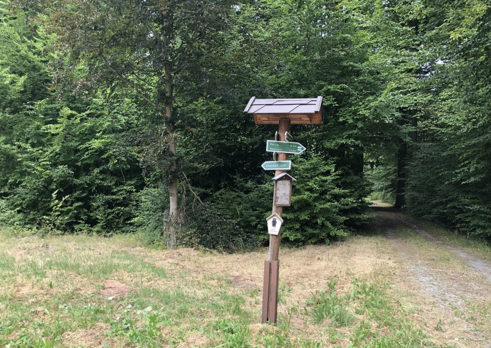 Wegweiser im Wald